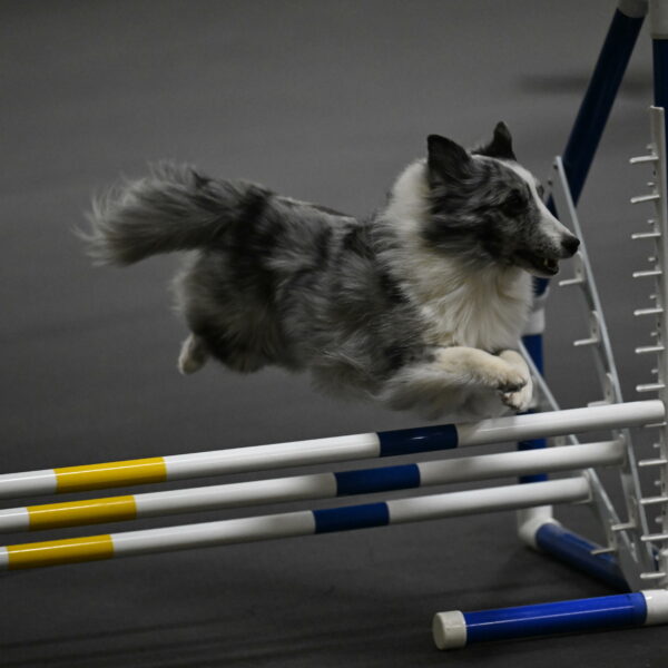 Minimo-Weinrich-00265