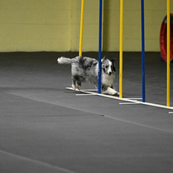 Minimo-Weinrich-00268