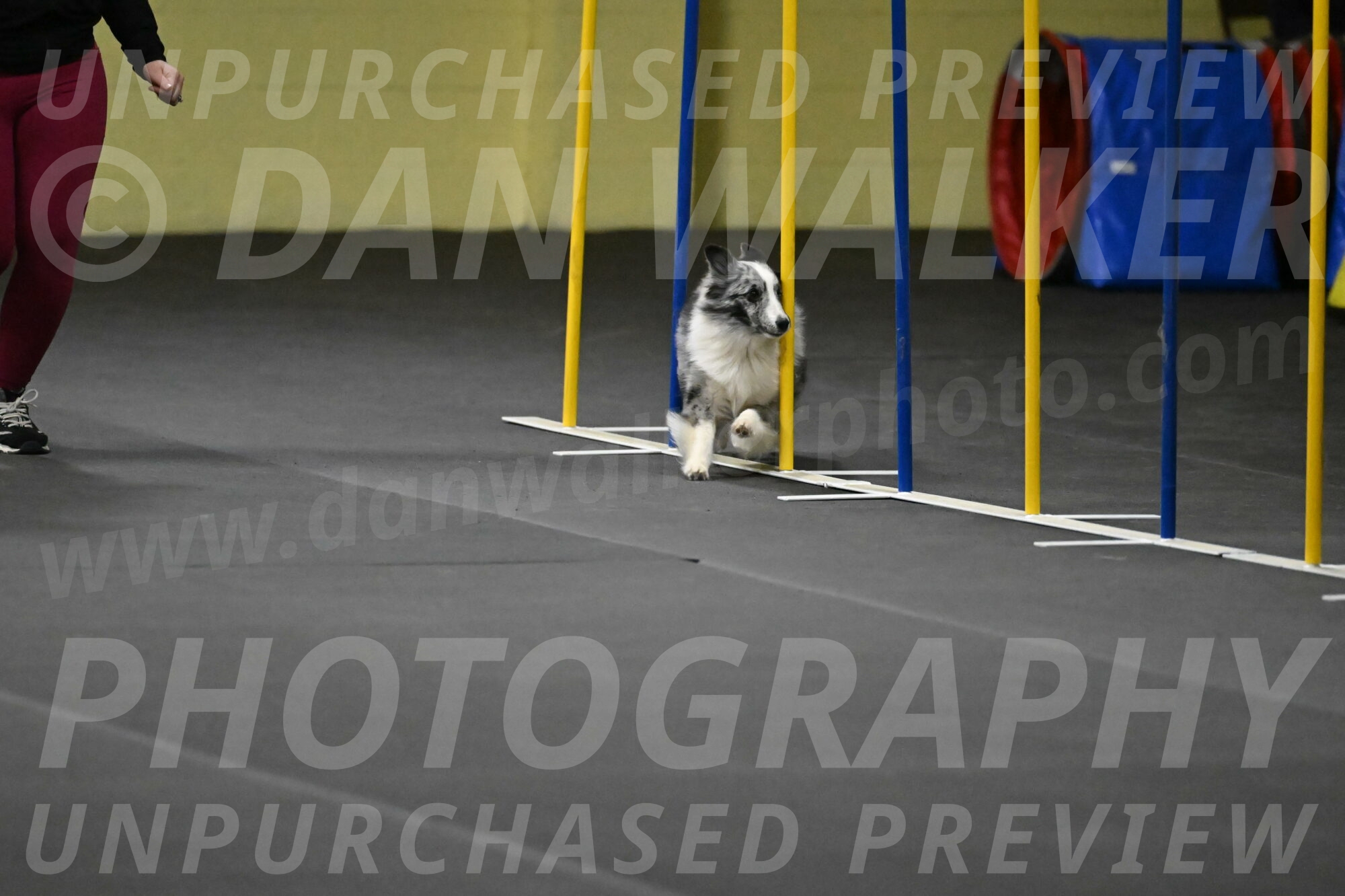 Minimo-Weinrich-00271