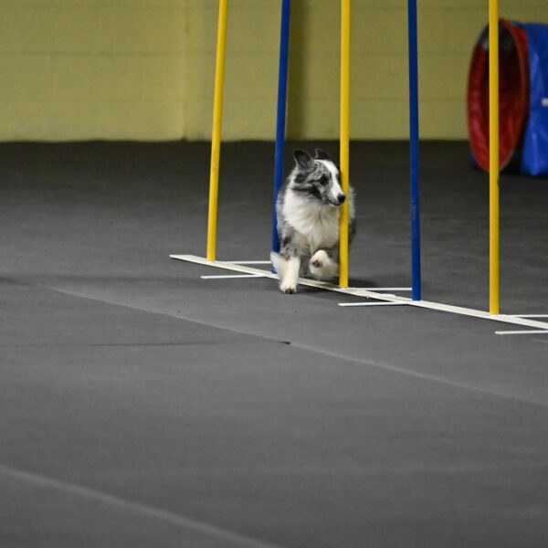 Minimo-Weinrich-00271