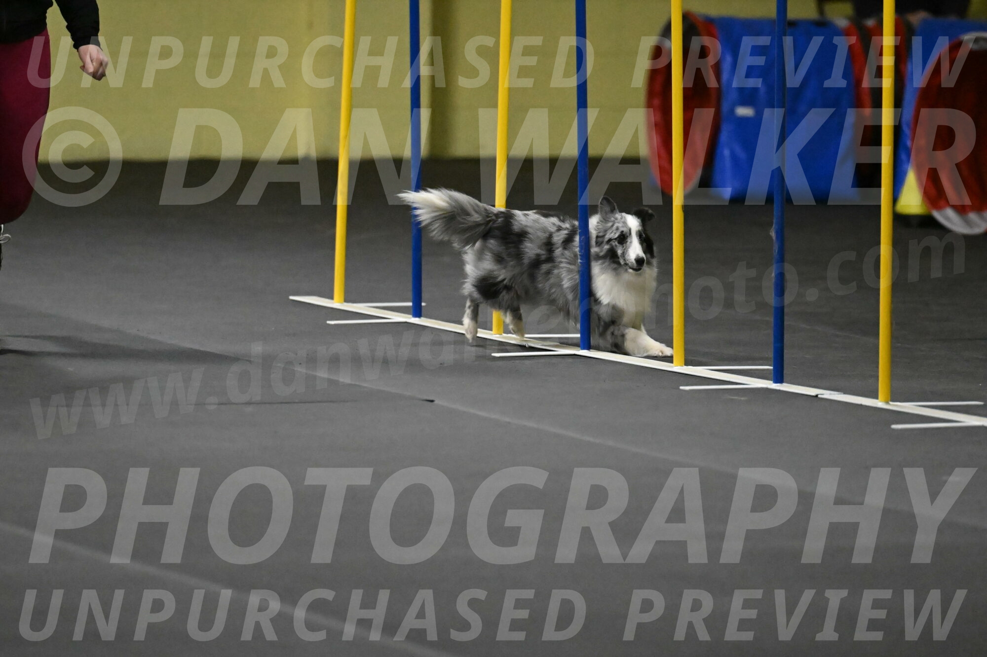 Minimo-Weinrich-00274