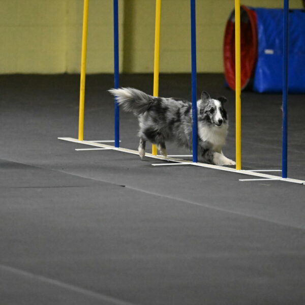 Minimo-Weinrich-00274