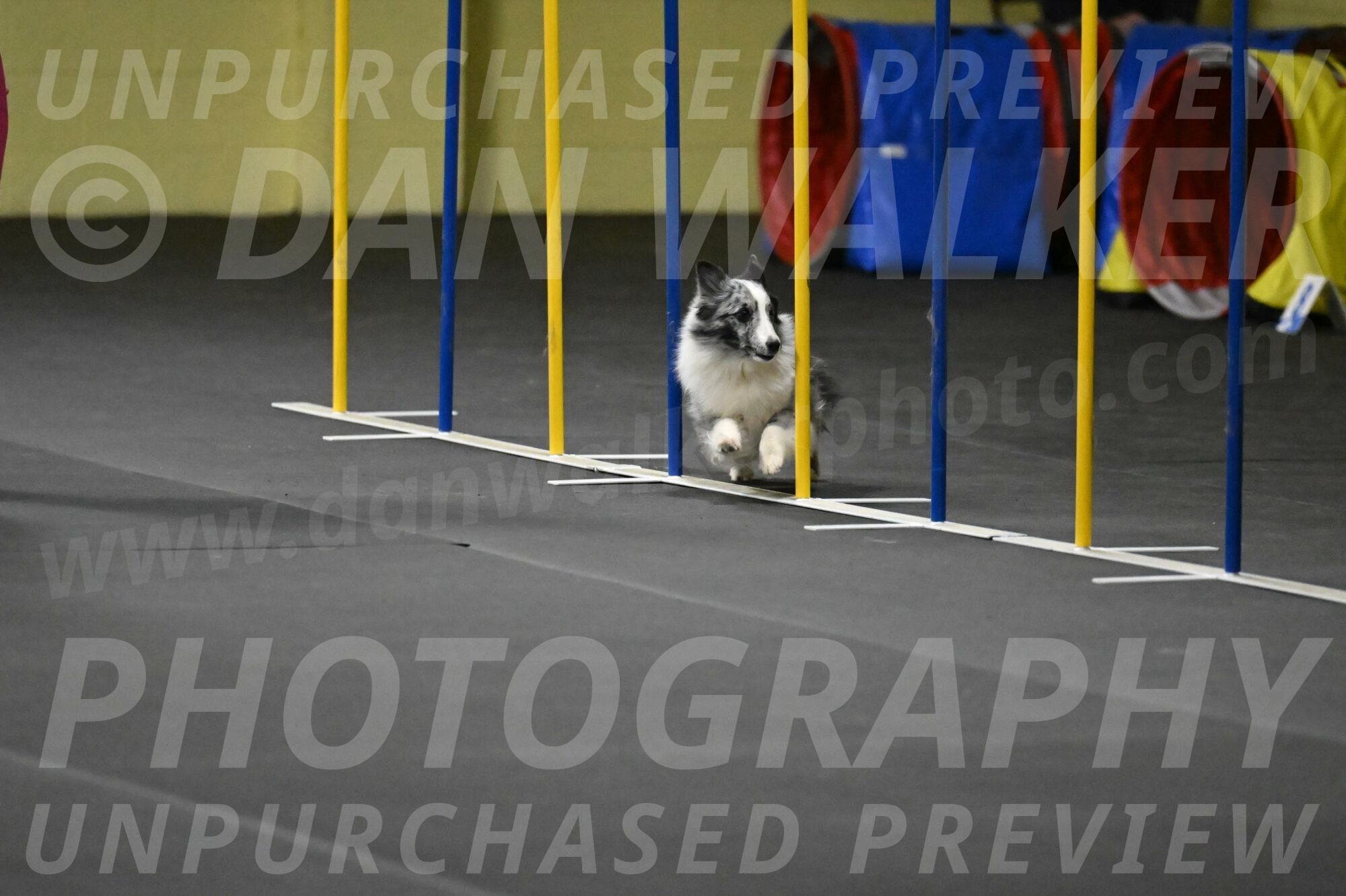 Minimo-Weinrich-00276