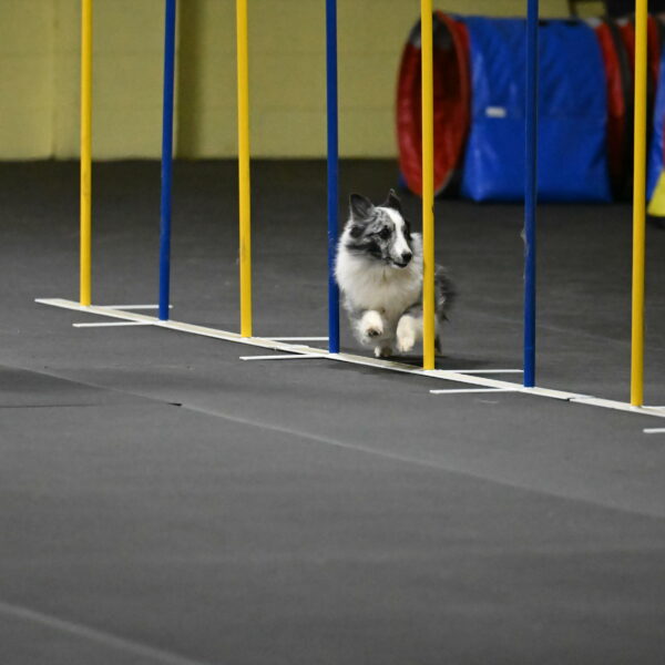 Minimo-Weinrich-00276