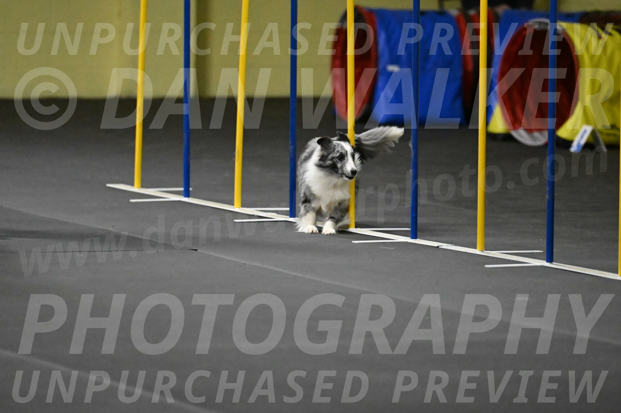 Minimo-Weinrich-00277