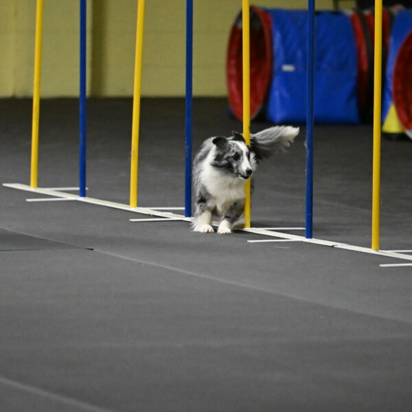 Minimo-Weinrich-00277