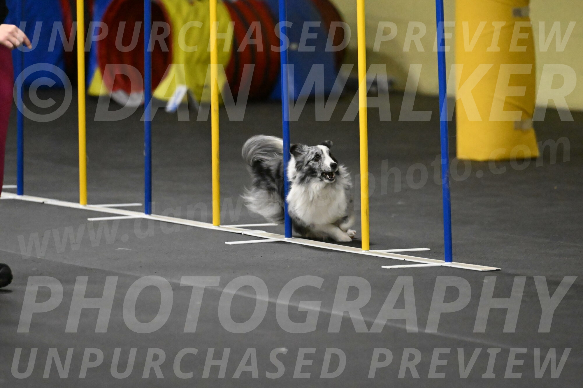 Minimo-Weinrich-00291