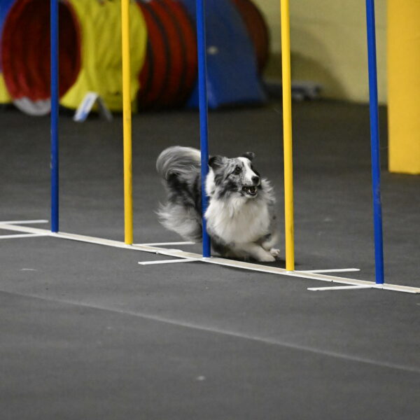 Minimo-Weinrich-00291