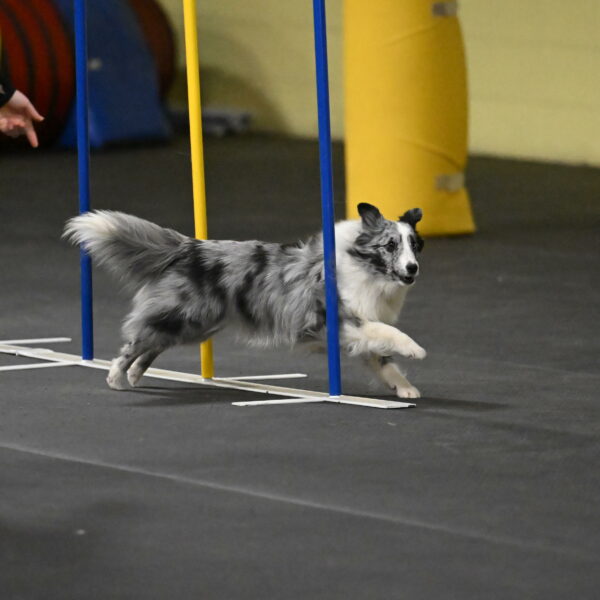 Minimo-Weinrich-00295