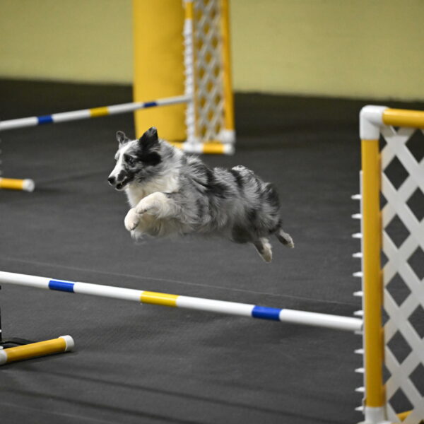 Minimo-Weinrich-00301