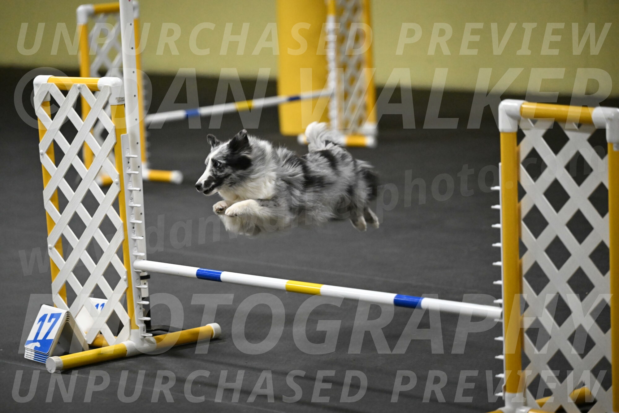 Minimo-Weinrich-00302