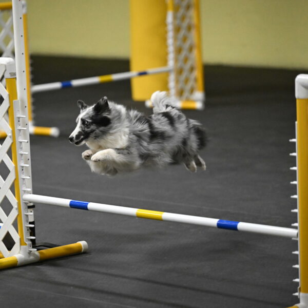 Minimo-Weinrich-00302