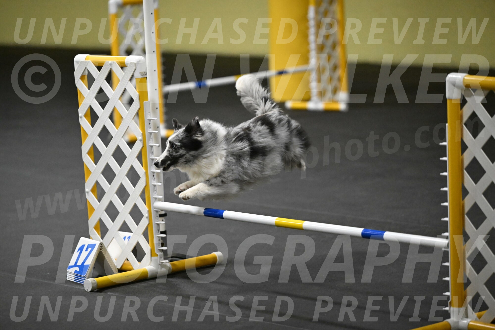 Minimo-Weinrich-00303