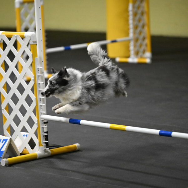 Minimo-Weinrich-00303