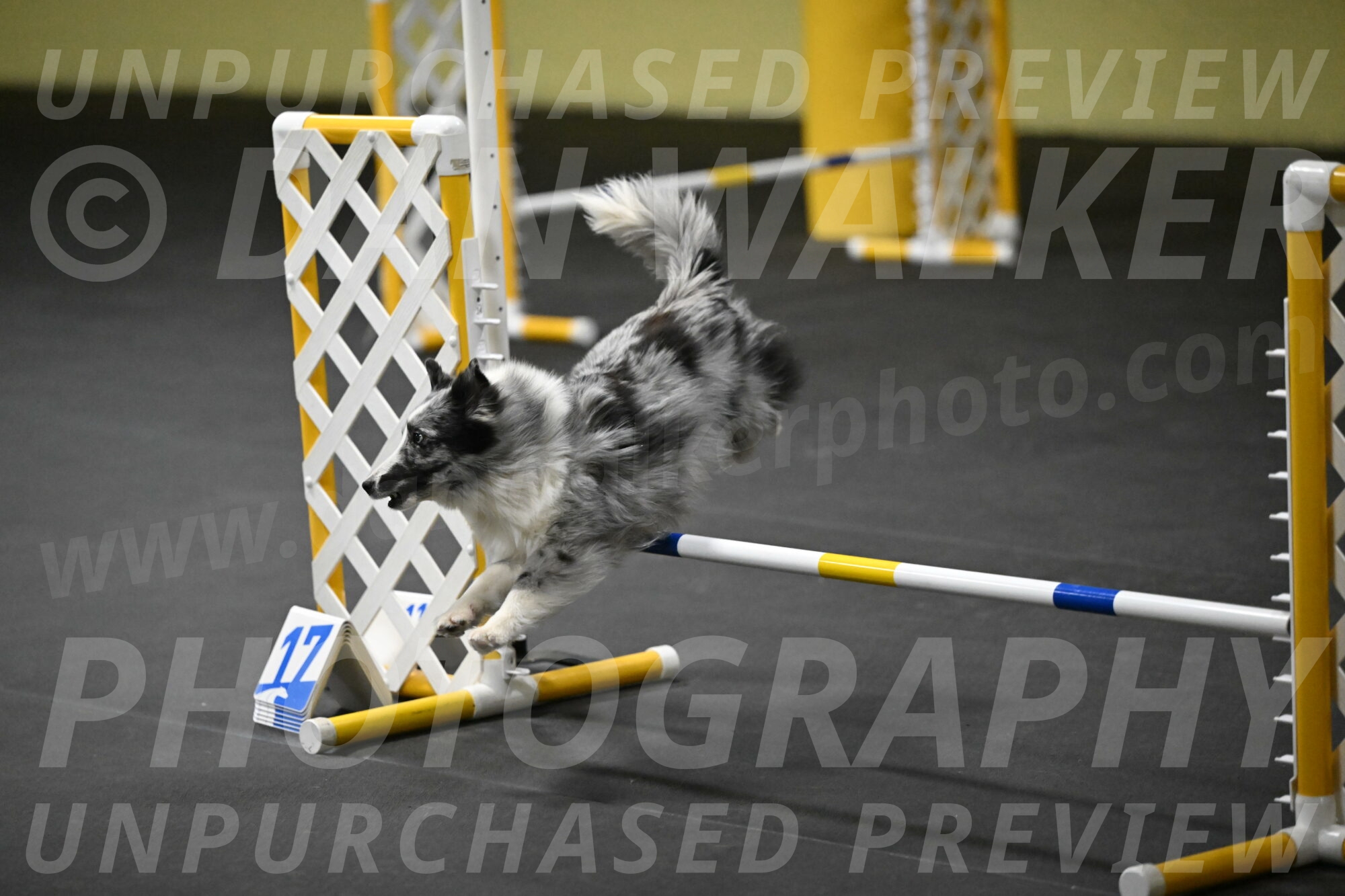 Minimo-Weinrich-00304