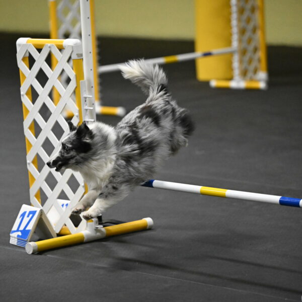 Minimo-Weinrich-00304