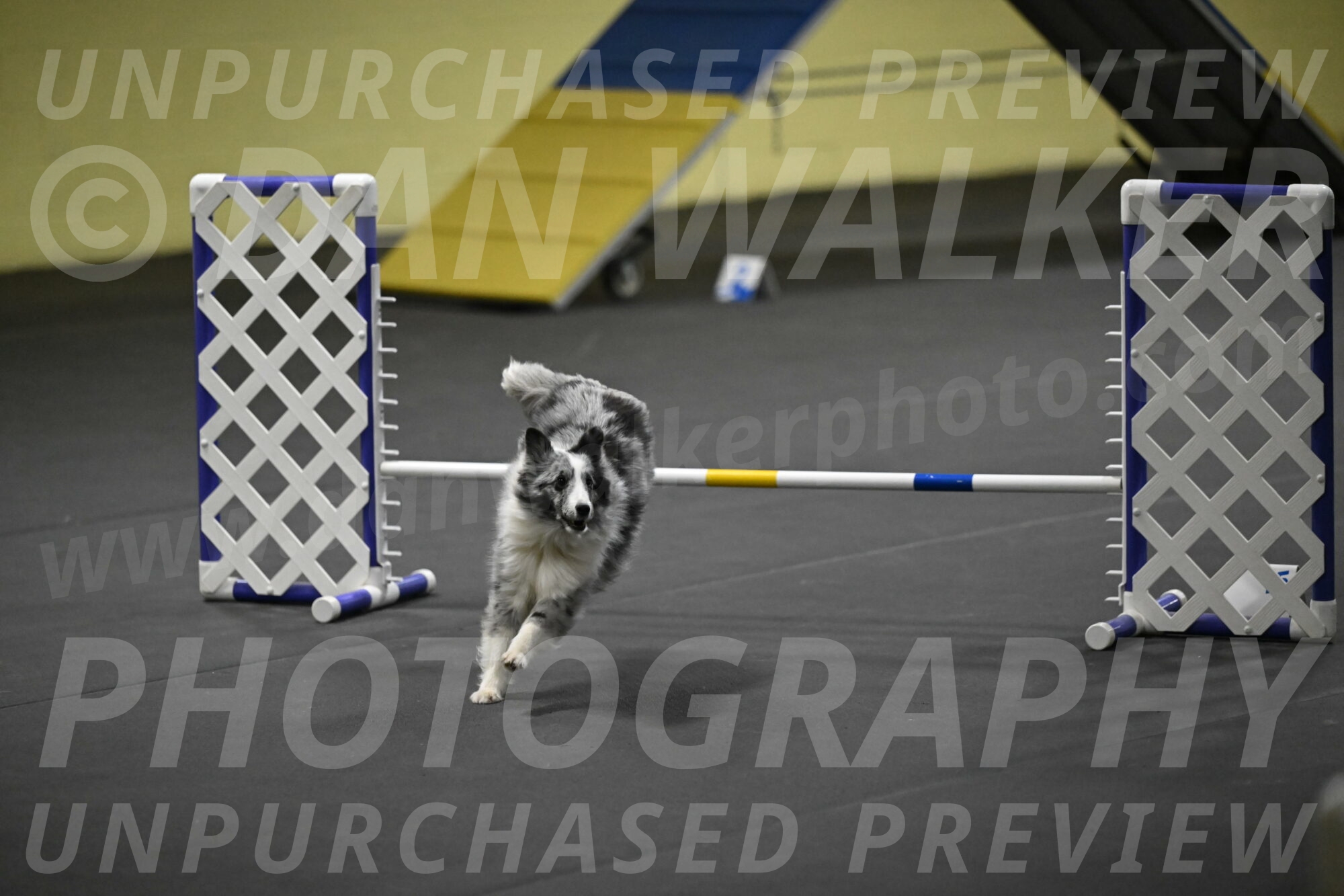 Minimo-Weinrich-00305