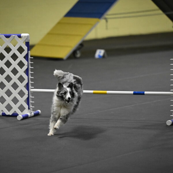 Minimo-Weinrich-00305