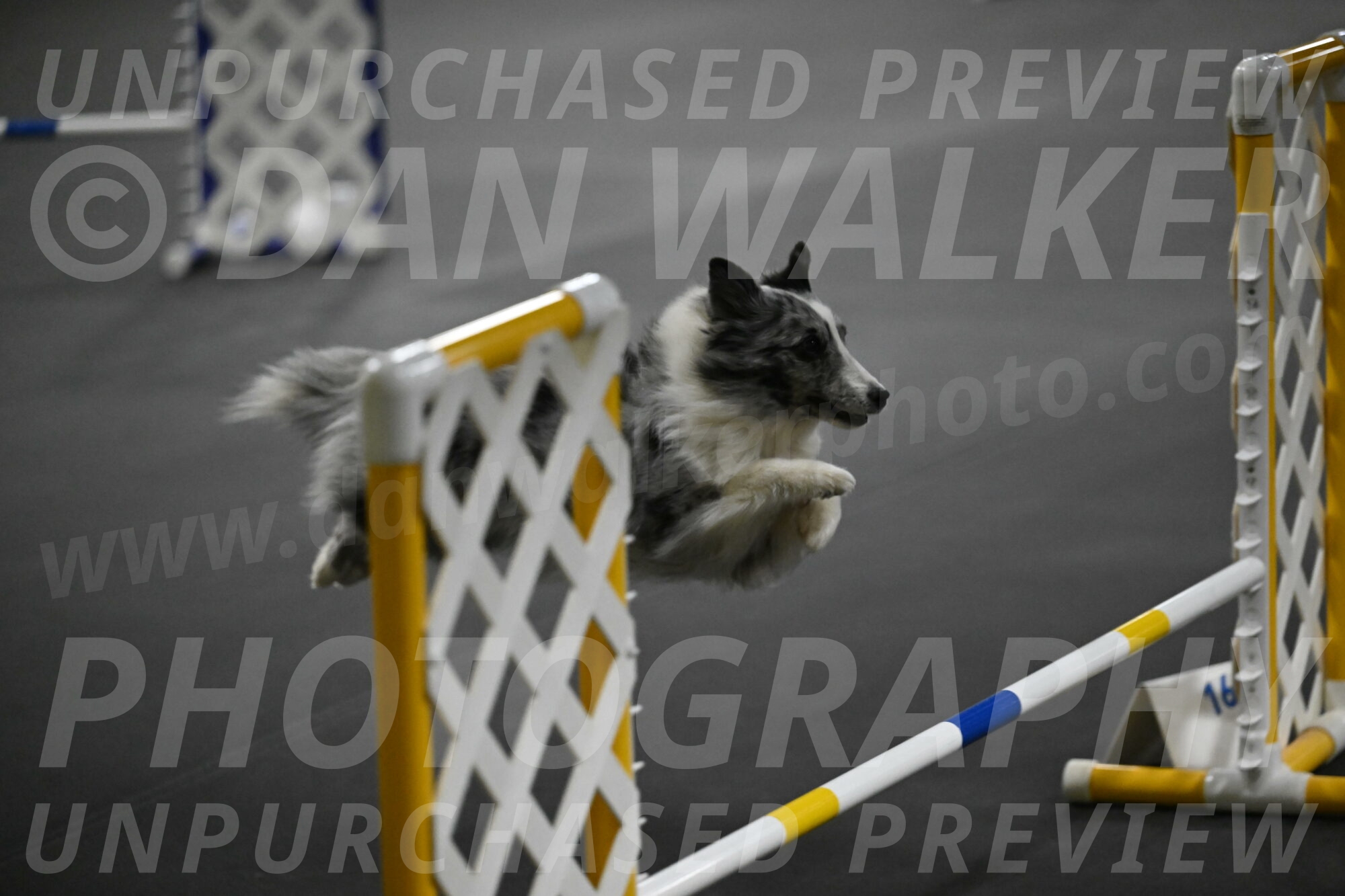 Minimo-Weinrich-00310