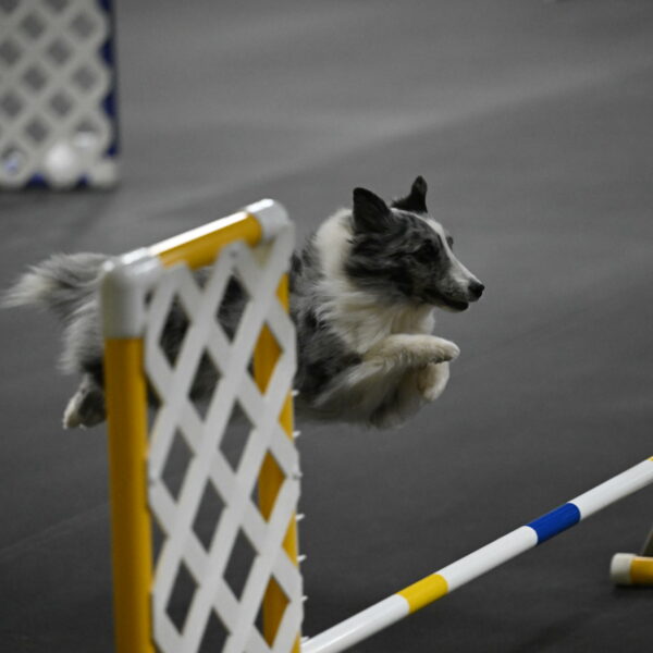 Minimo-Weinrich-00310