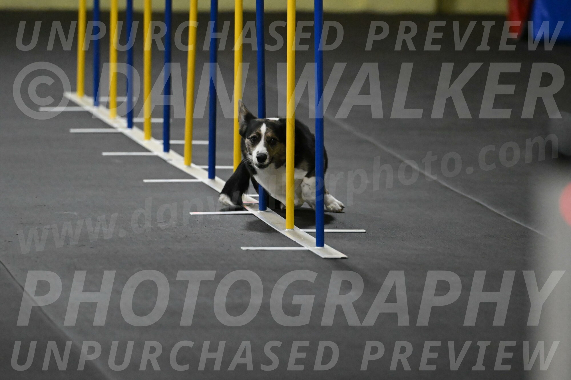 Mischief-Santin-13699