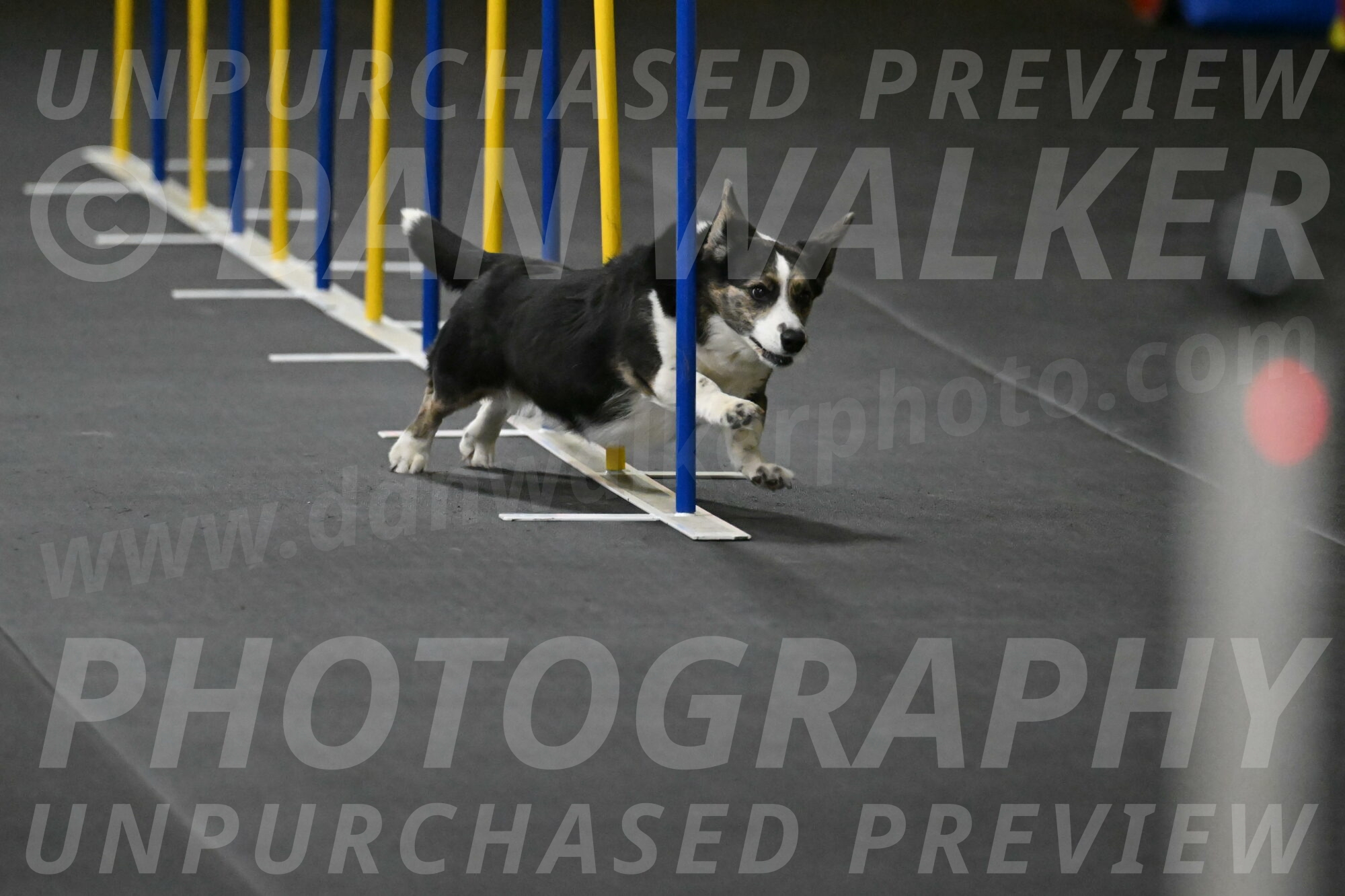 Mischief-Santin-13703