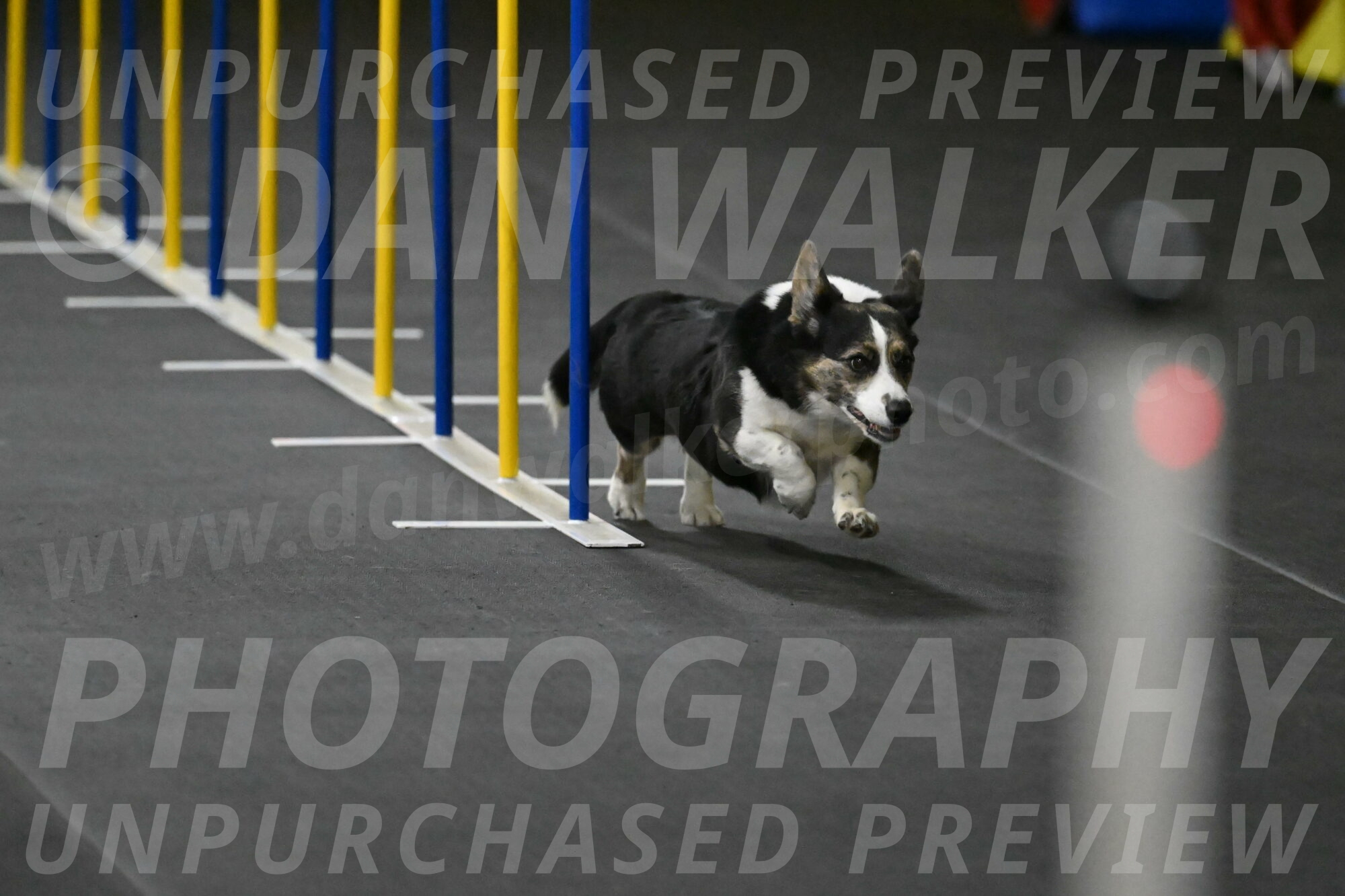 Mischief-Santin-13706