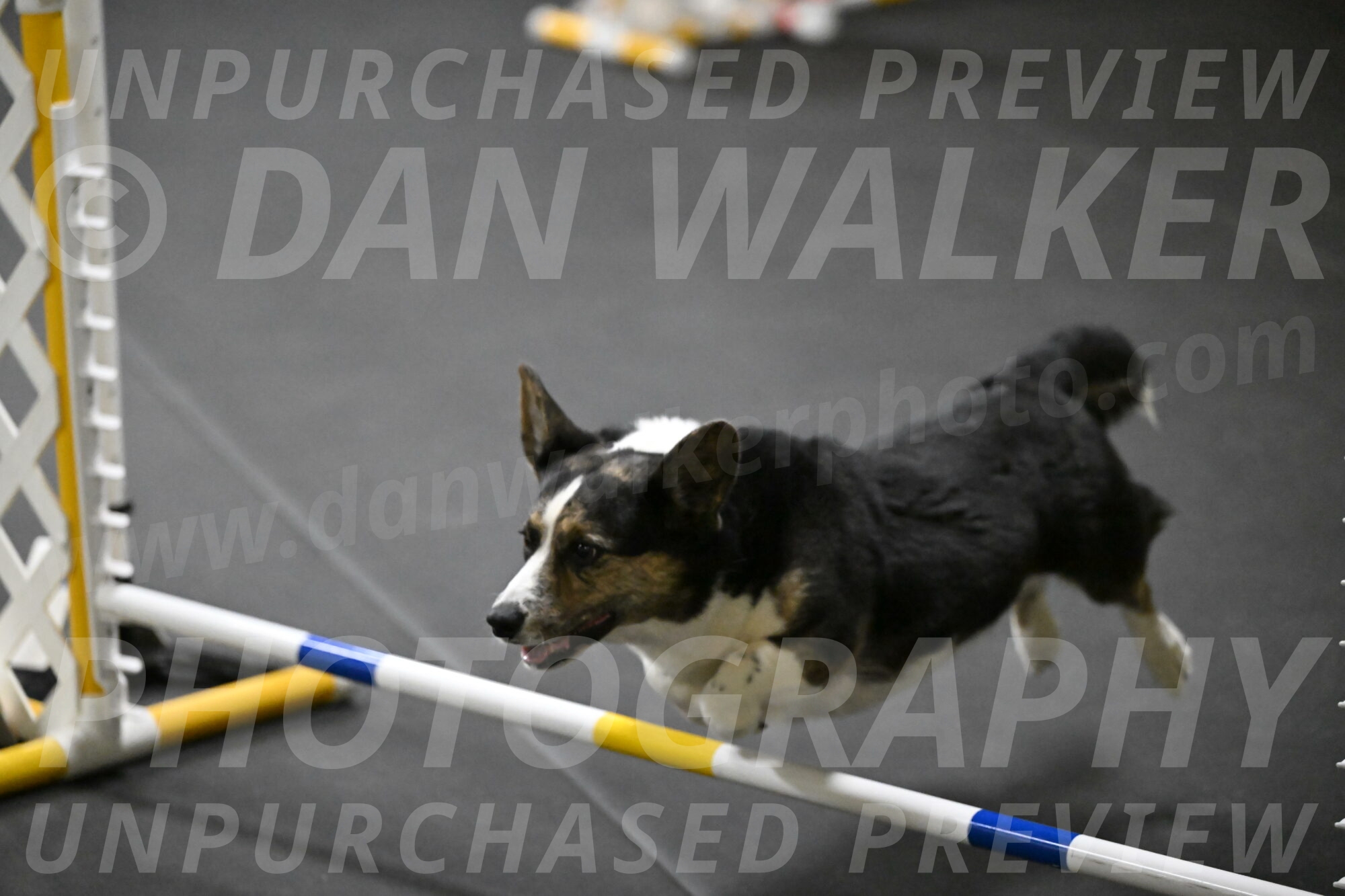 Mischief-Santin-13712