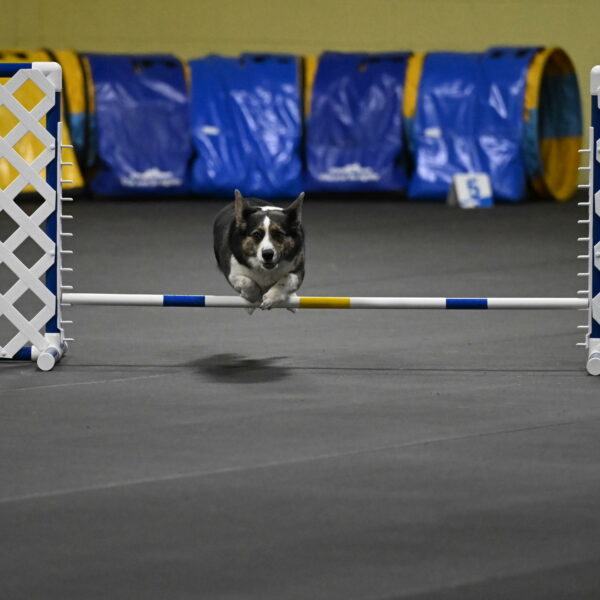 Mischief-Santin-13716