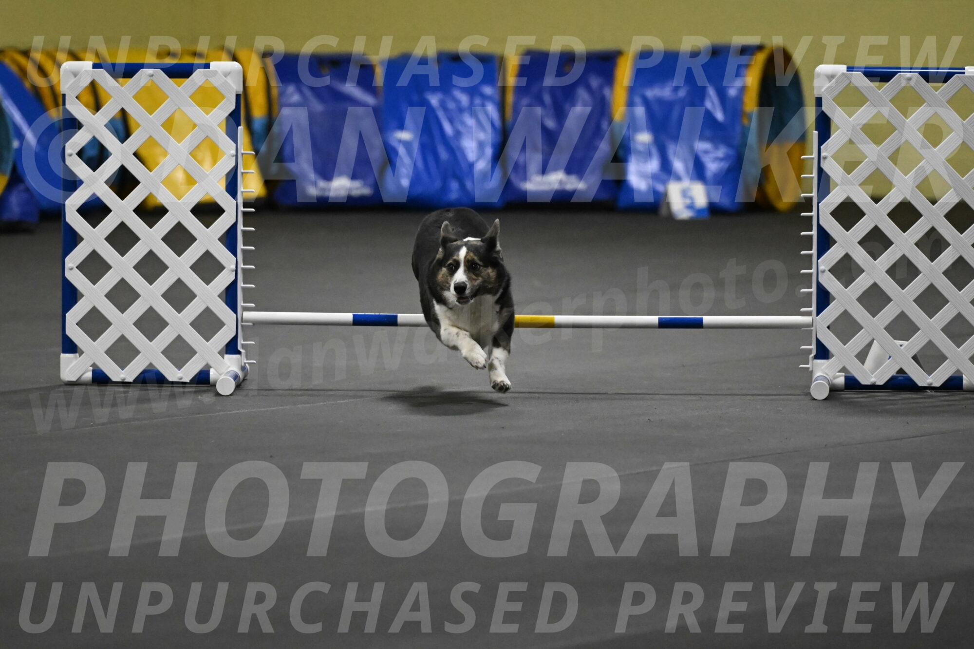 Mischief-Santin-13717