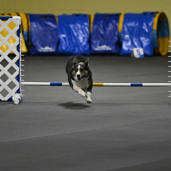 Mischief-Santin-13717