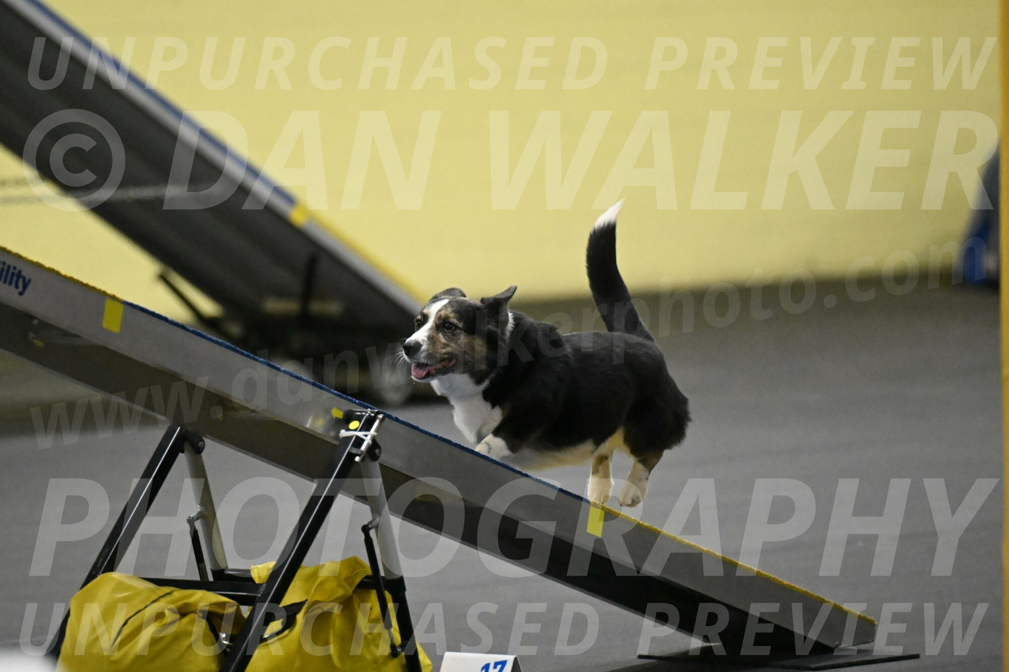 Mischief-Santin-13721