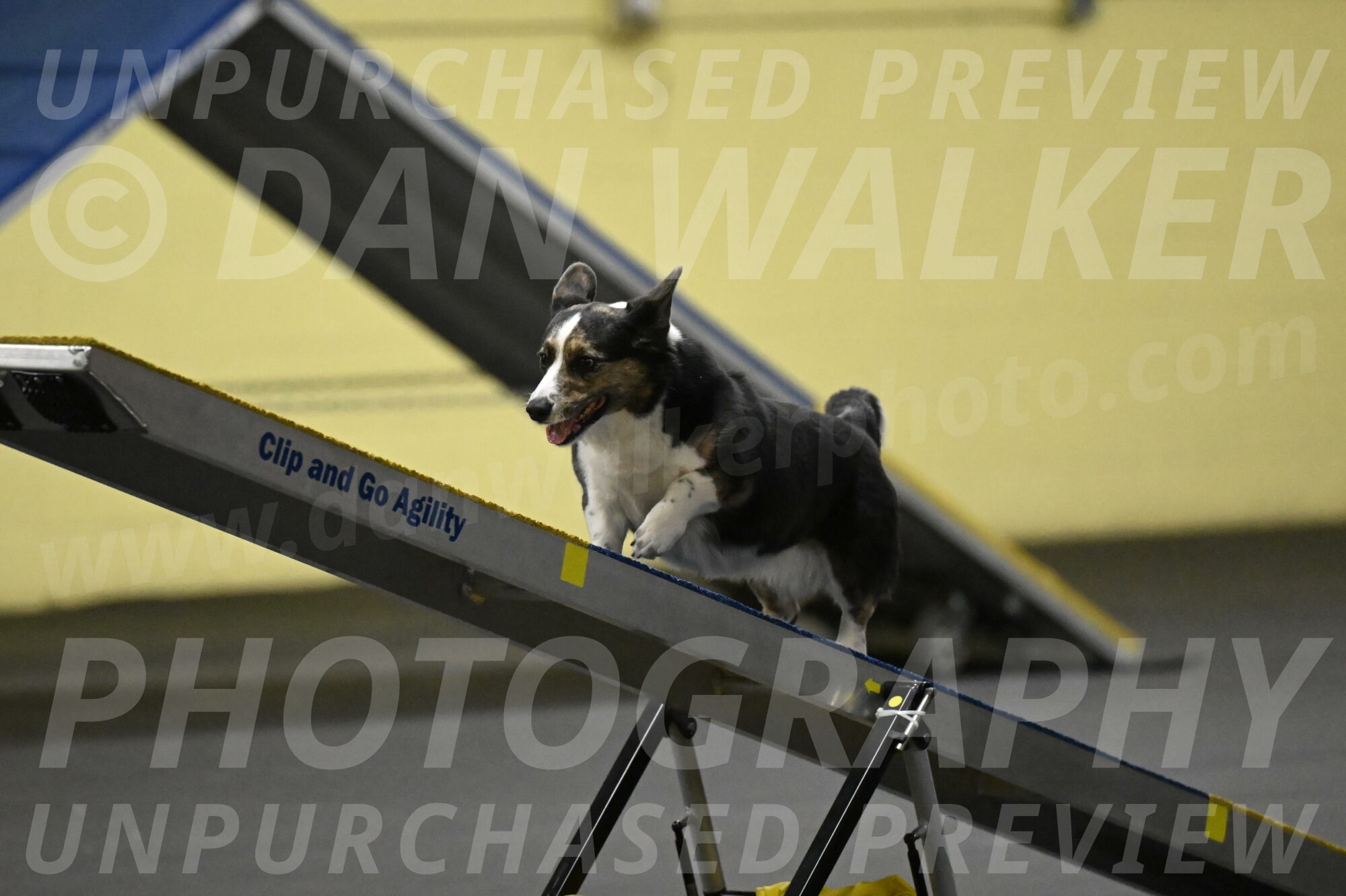 Mischief-Santin-13728