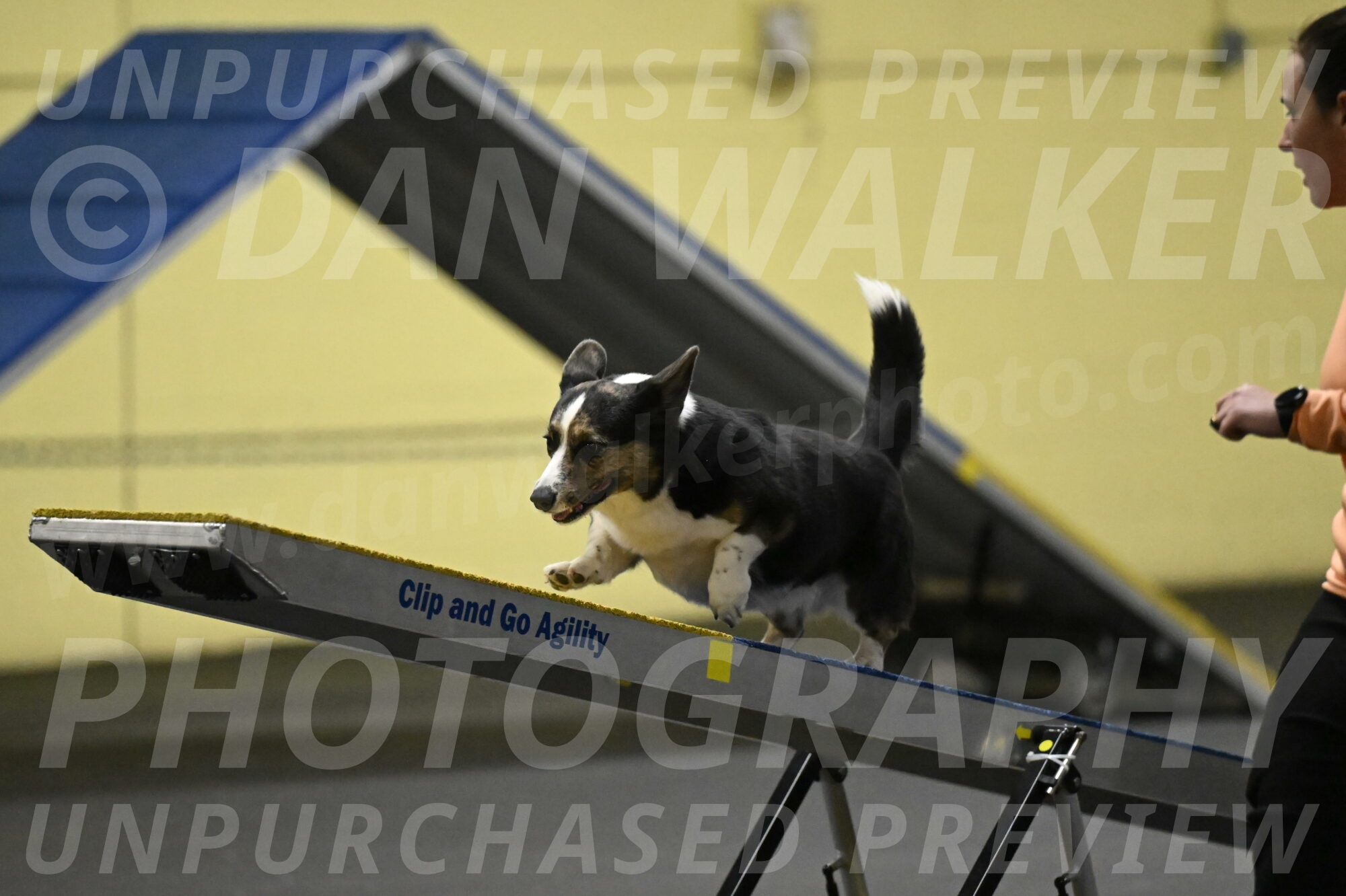 Mischief-Santin-13731