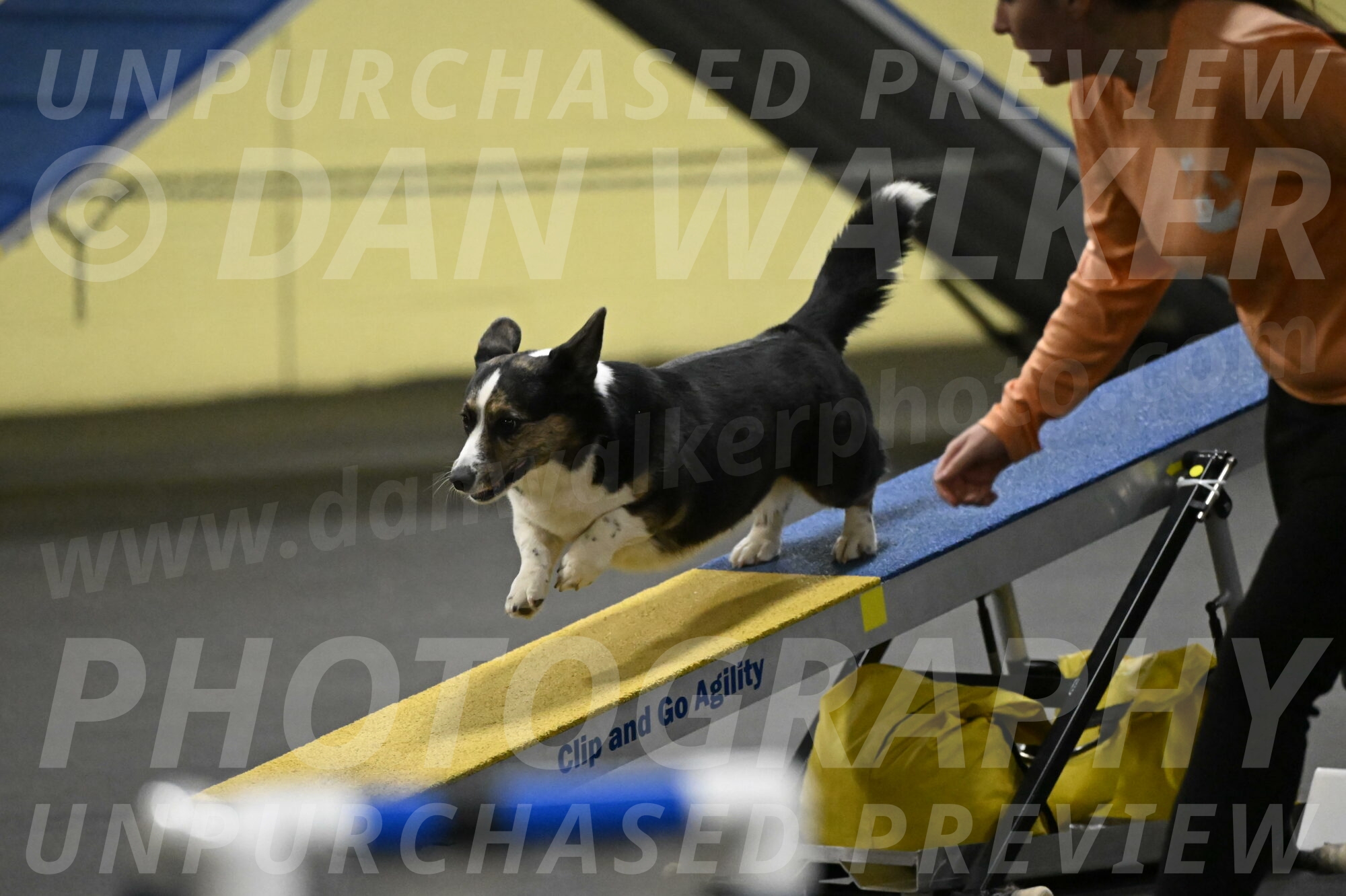 Mischief-Santin-13736