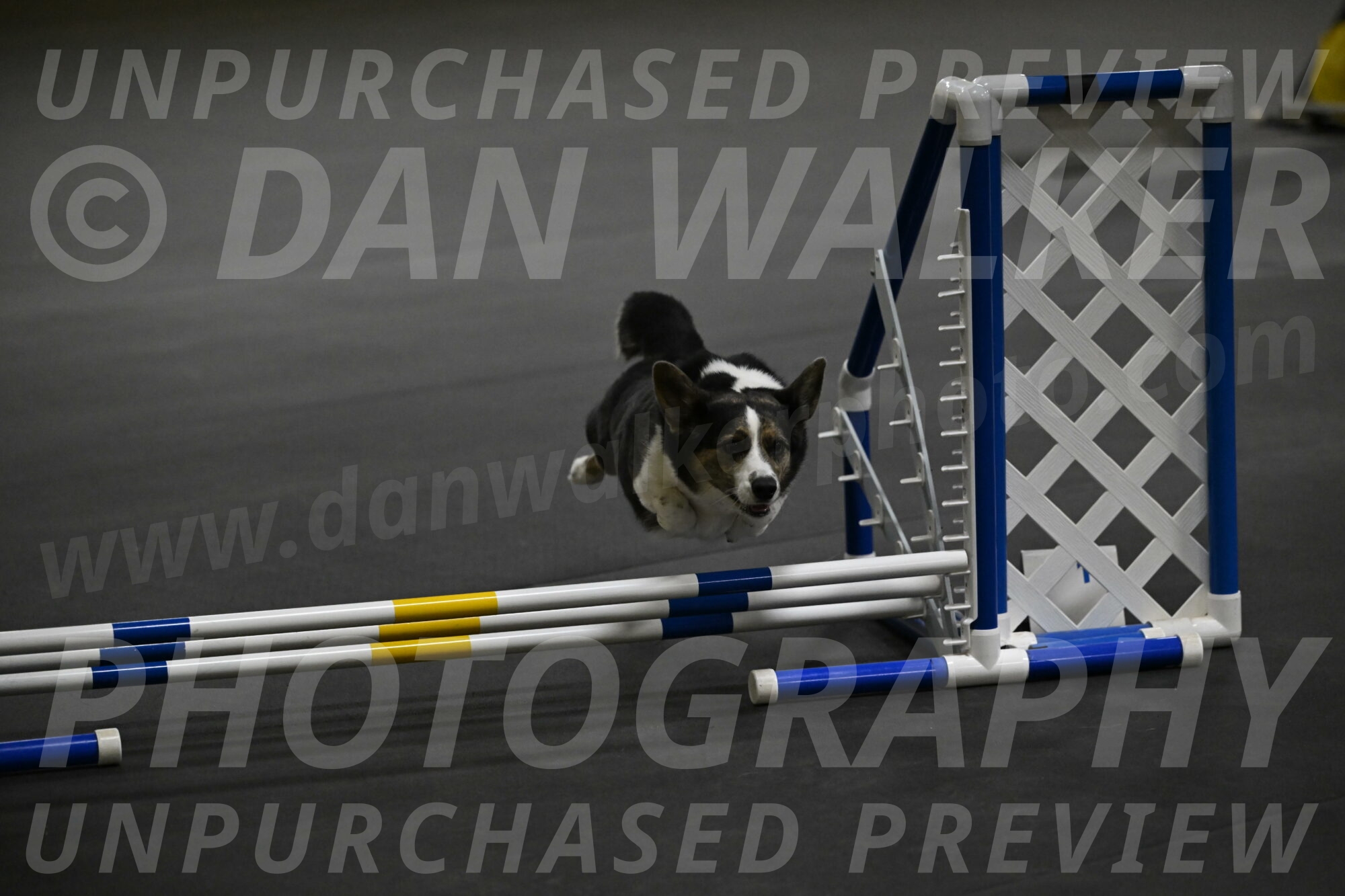 Mischief-Santin-13745