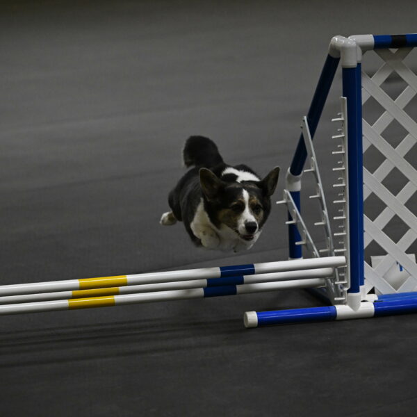 Mischief-Santin-13745