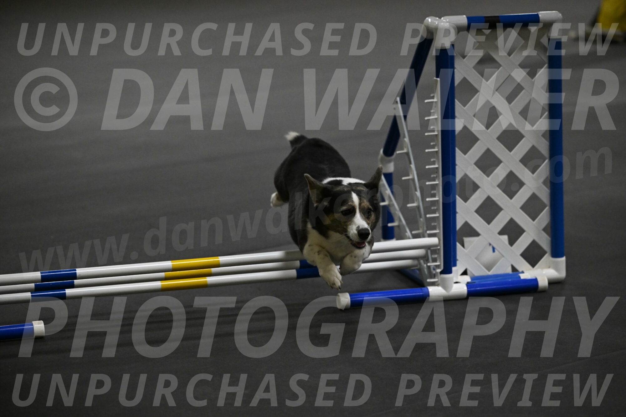 Mischief-Santin-13746