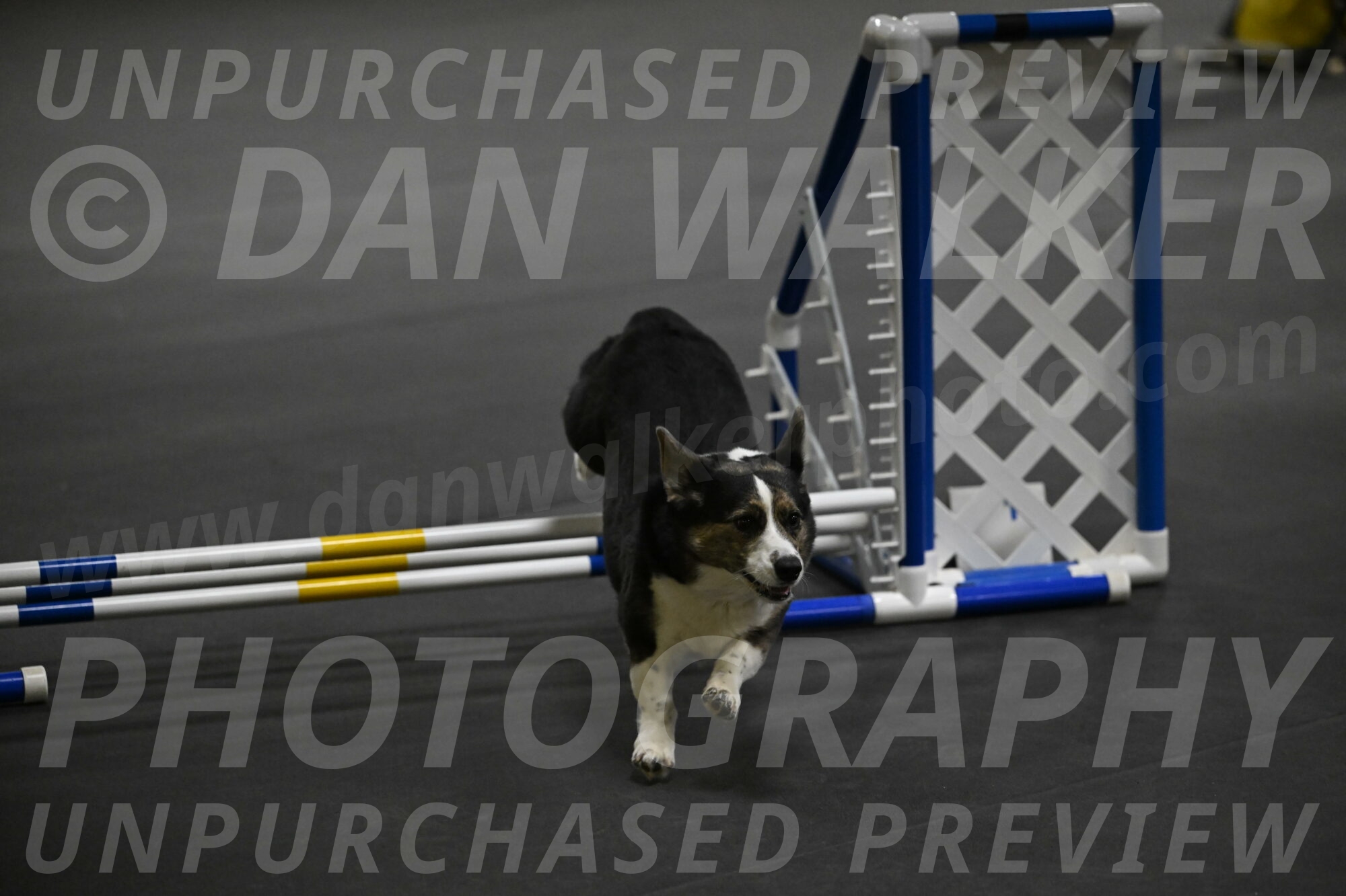 Mischief-Santin-13747