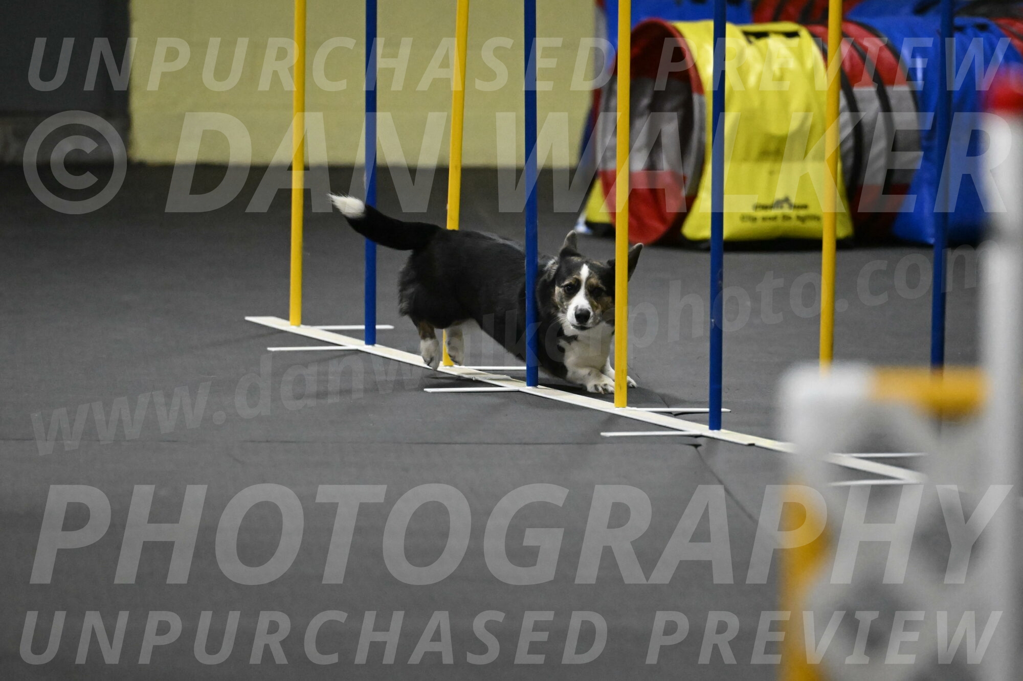 Mischief-Santin-13767