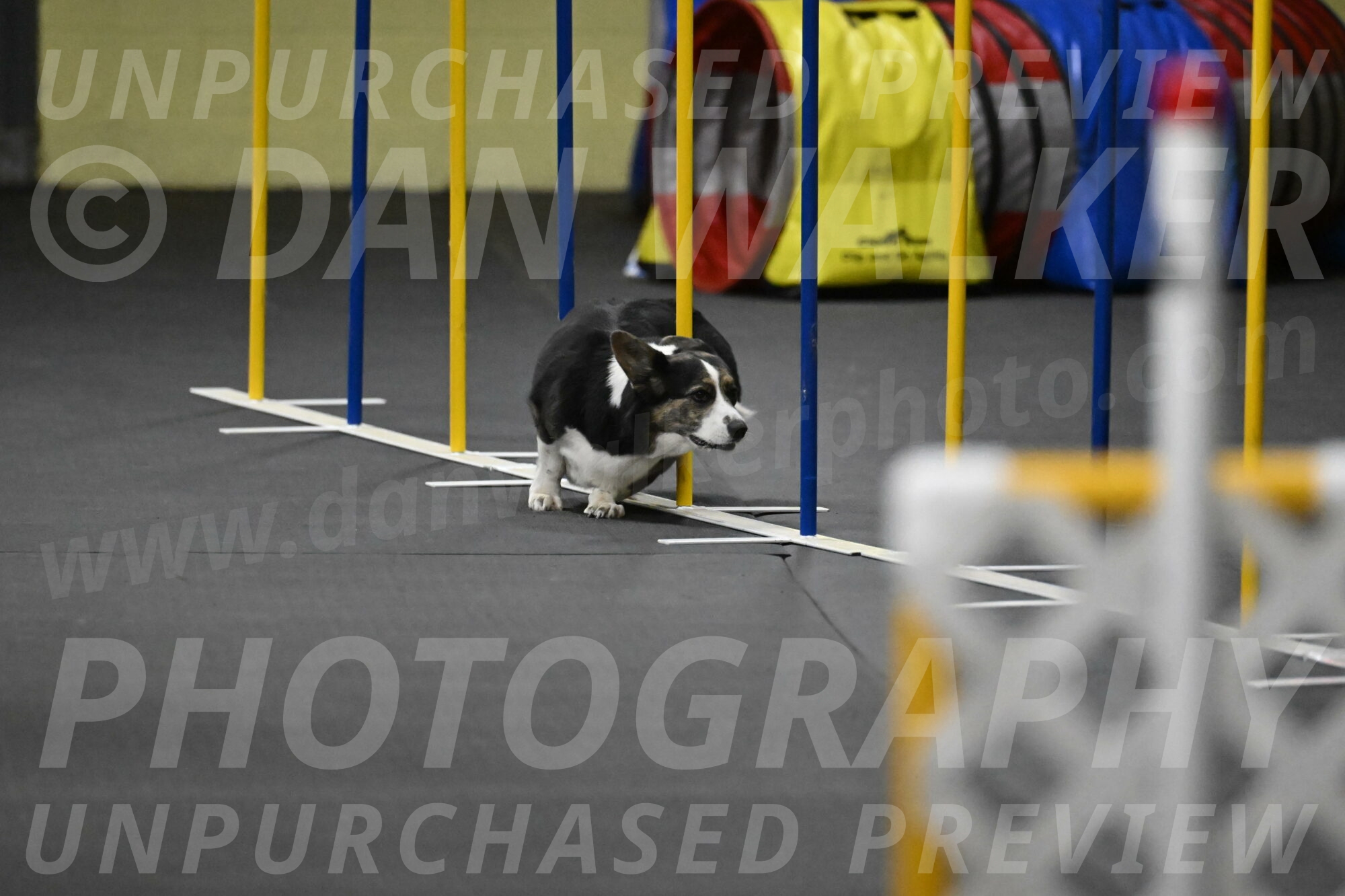 Mischief-Santin-13770