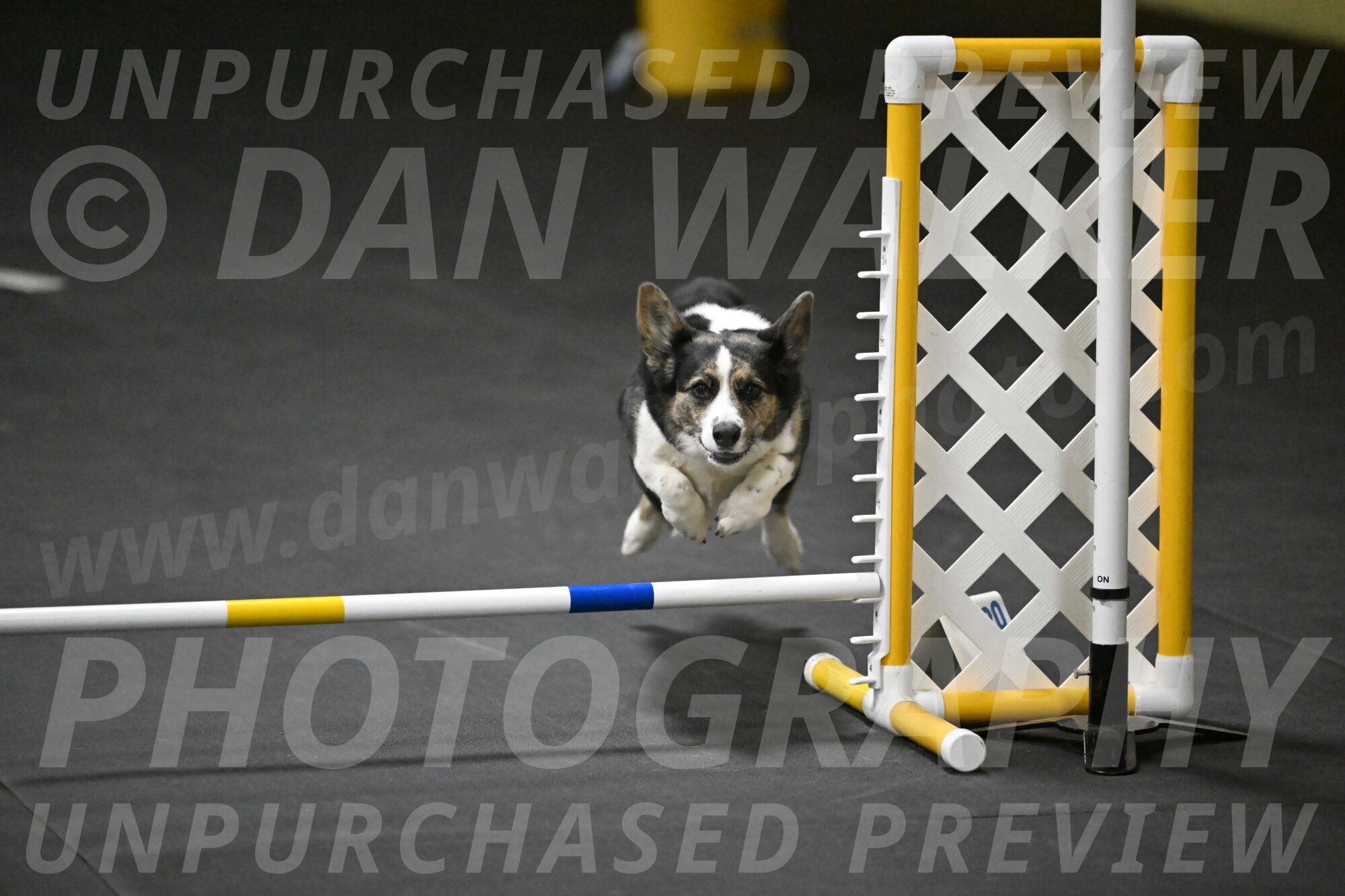 Mischief-Santin-13777