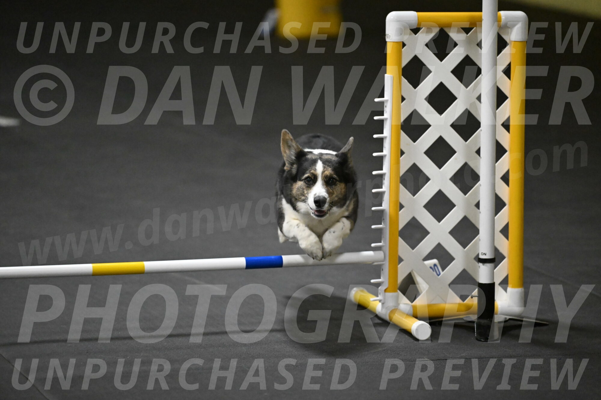 Mischief-Santin-13778