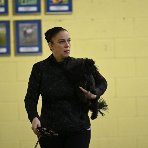 Murphy-Bourell-Casey-13396