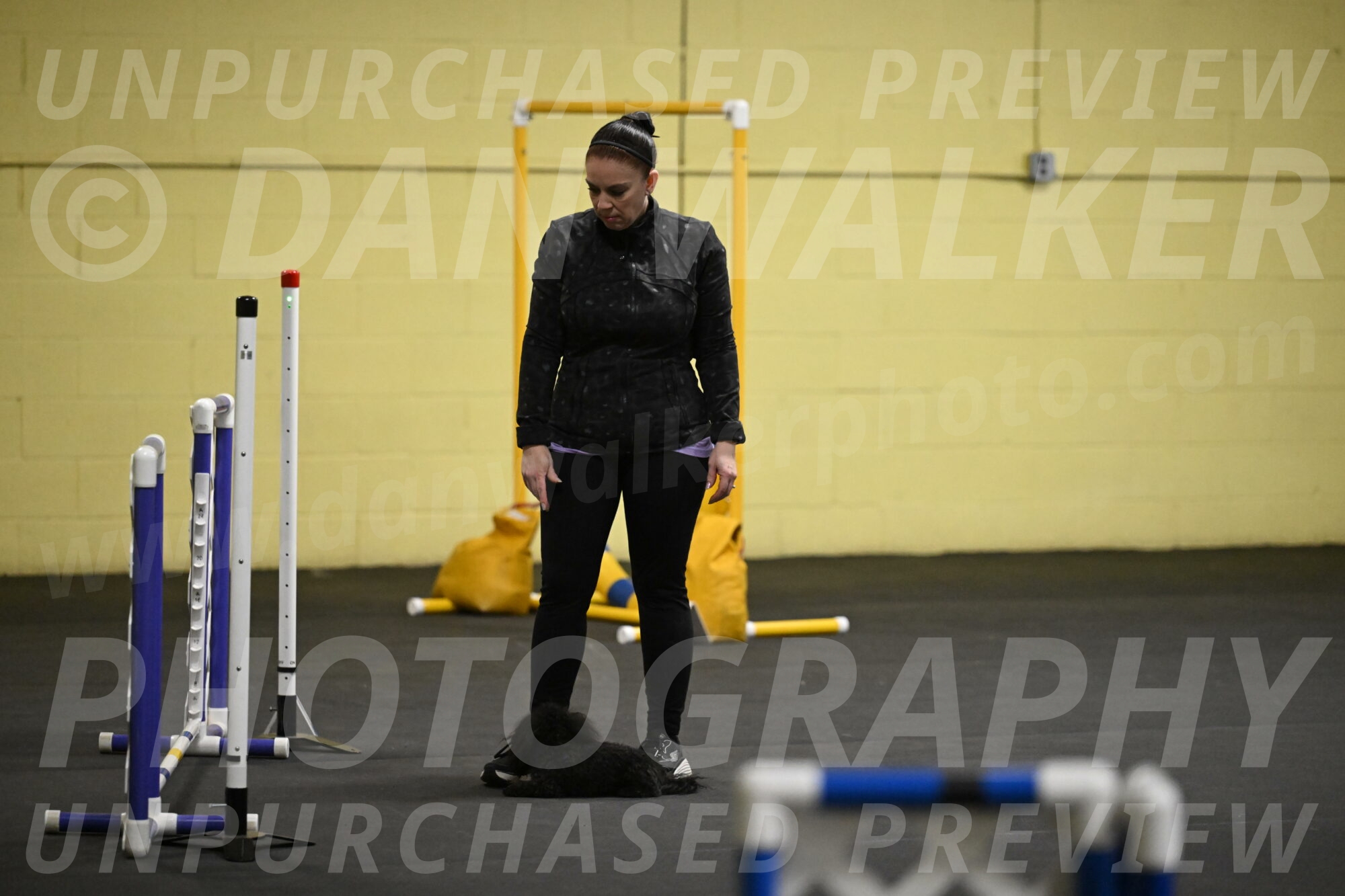 Murphy-Bourell-Casey-13402