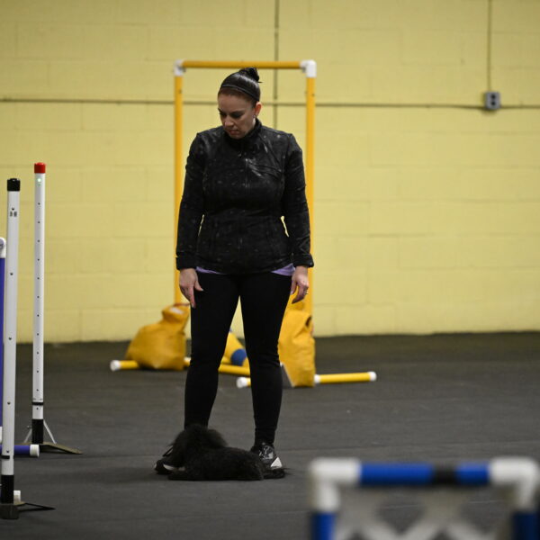 Murphy-Bourell-Casey-13402