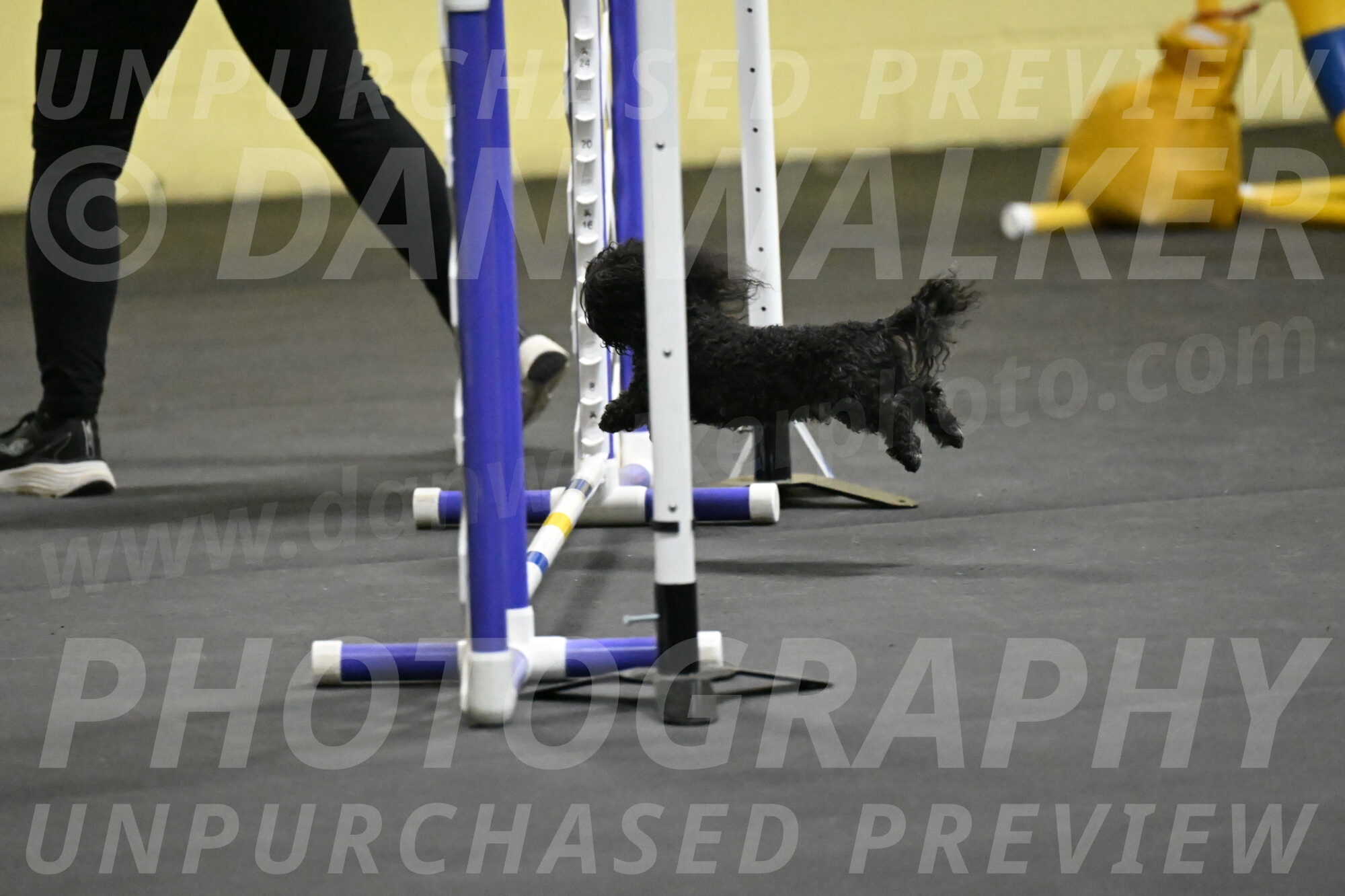 Murphy-Bourell-Casey-13404