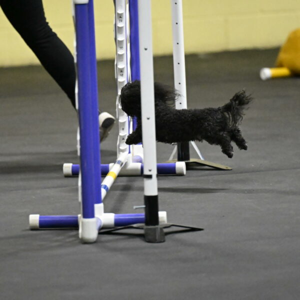 Murphy-Bourell-Casey-13404