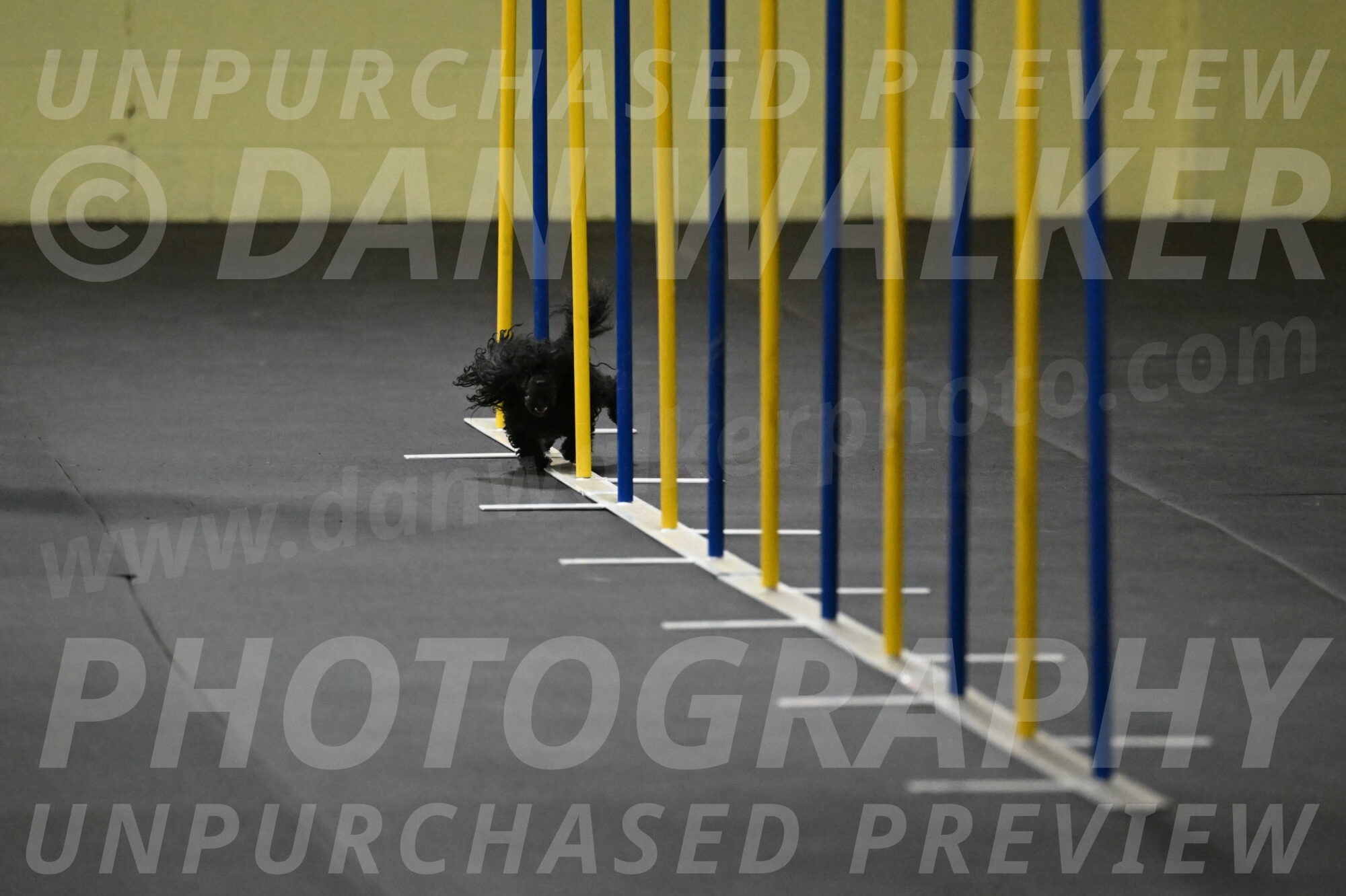 Murphy-Bourell-Casey-13423