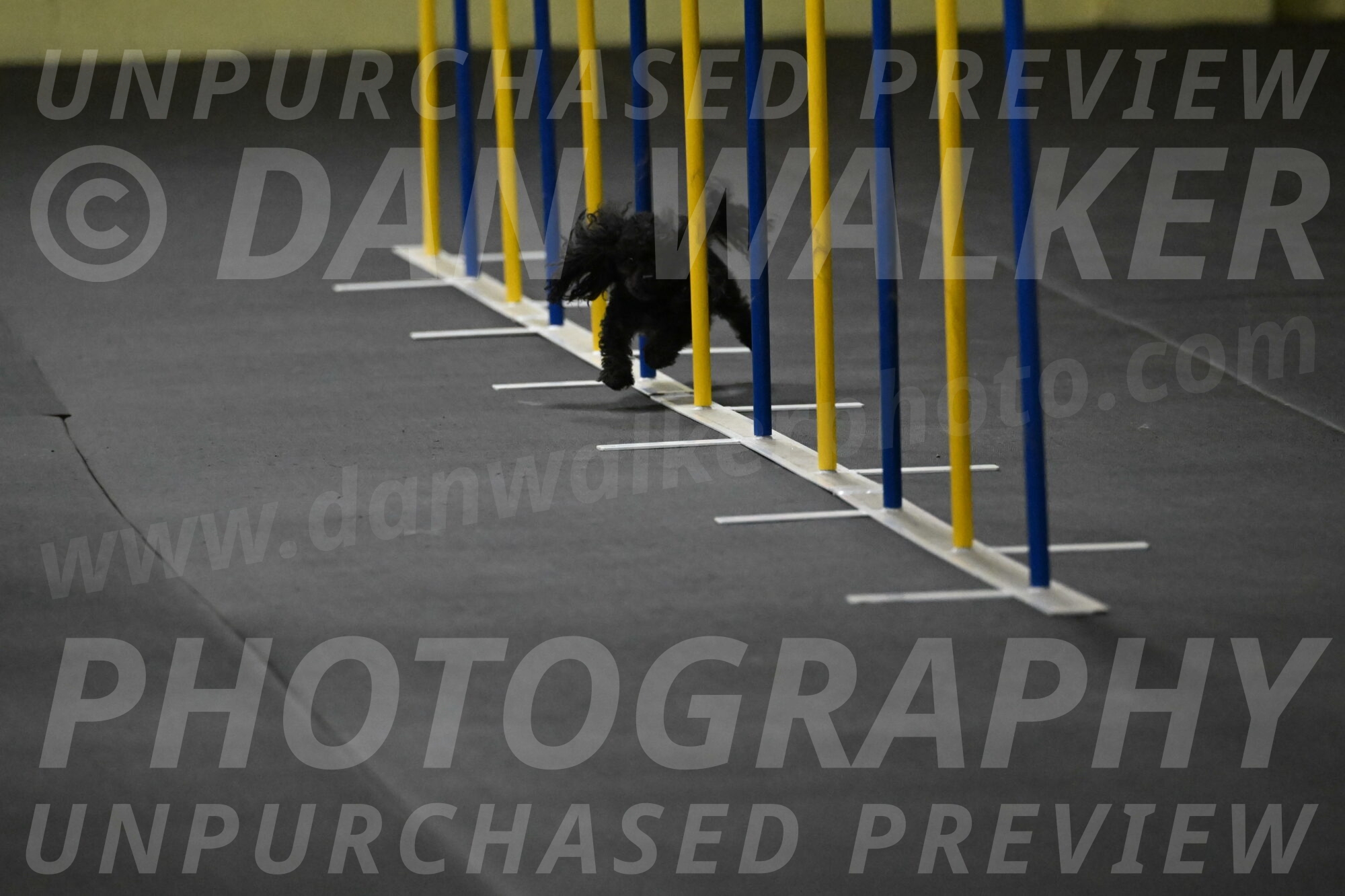 Murphy-Bourell-Casey-13436